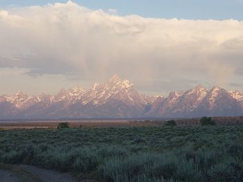 Scenic view of landscape against sky