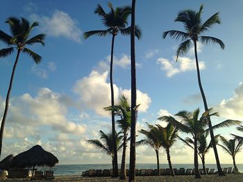 Low angle view of palm trees on beach against sky