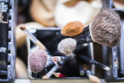 Close up of brushes