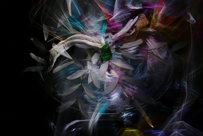 Full frame shot of multi colored painting