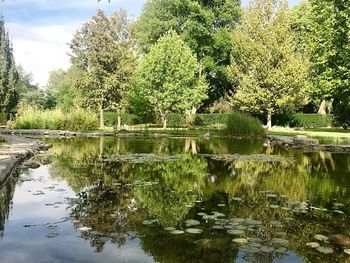 Reflection of trees in lake against sky