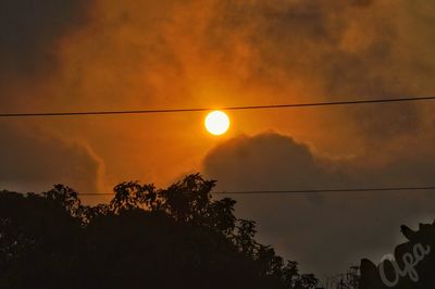 Low angle view of silhouette trees against orange sky