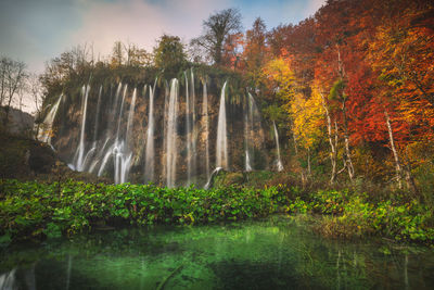 Scenic view of waterfall