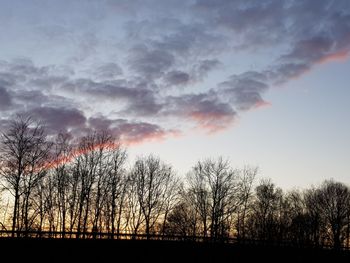 Silhouette bare trees against sky during sunset