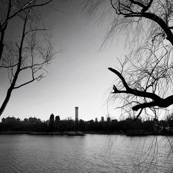 Silhouette bare tree by lake against sky