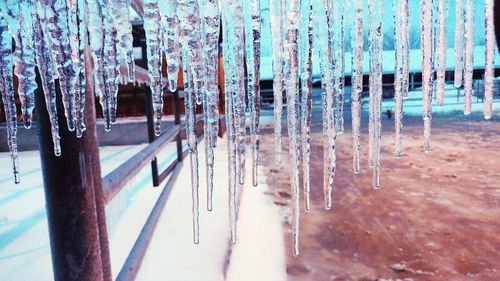 Close-up of frozen ice