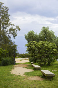 View of trees in park