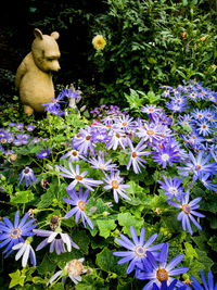 Close-up of flowers blooming outdoors