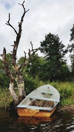 View of tree against sky