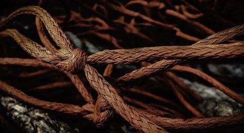 Close-up of rope