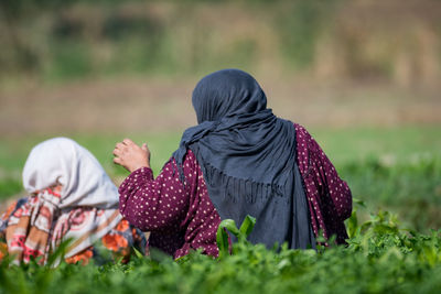 Rear view of farmers sitting on field