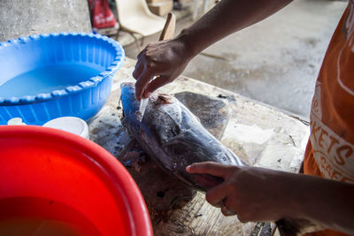 High angle view of person preparing fish