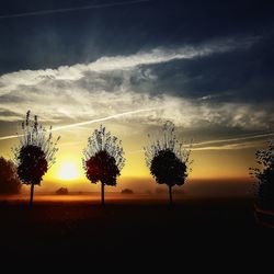 Silhouette trees on field against sky during sunset