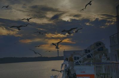 Birds flying over cloudy sky