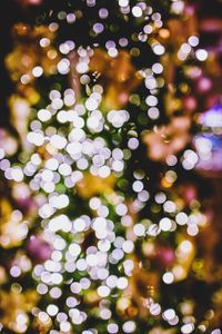 Defocused image of illuminated lights on tree