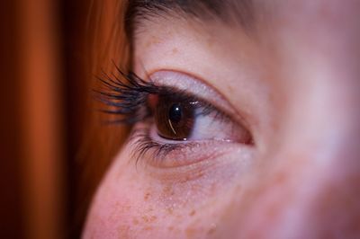 Close-up of woman eye