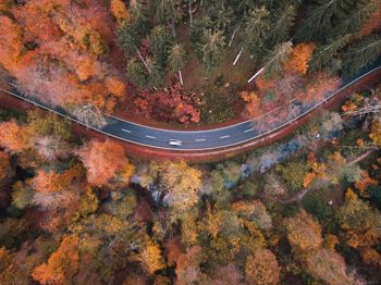 High angle view of road amidst trees in forest during autumn