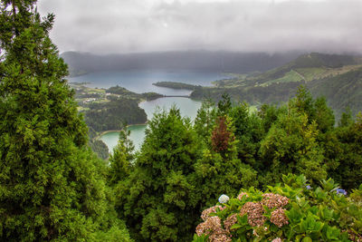 Scenic view of lake by trees against sky