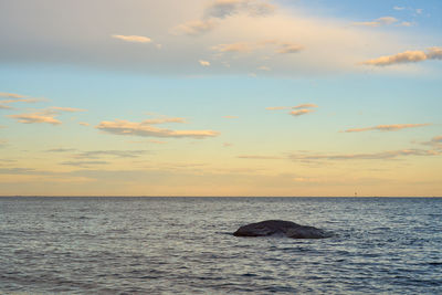 Sunset over the gulf of finland on the coast of finland.