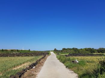 Dirt road amidst field against clear blue sky