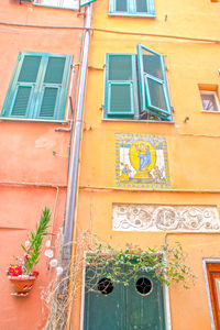 Low angle view of potted plant on wall of building