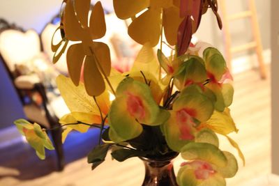 Close-up of flowers hanging outdoors