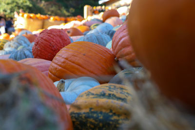 Close-up of pumpkin for sale in market