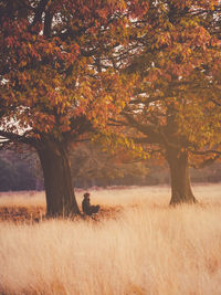 Man in autumn tree