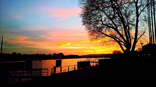 Silhouette of trees at sunset