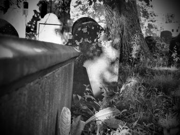 Portrait of man on tree trunk