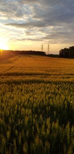 Scenic view of field against sky during sunset