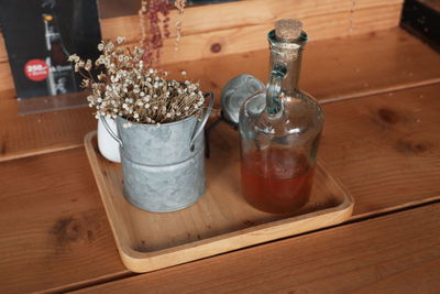 High angle view of potted plant on table at home