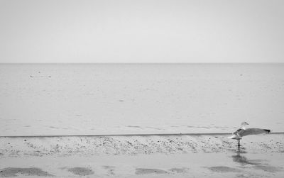 View of sea against sky