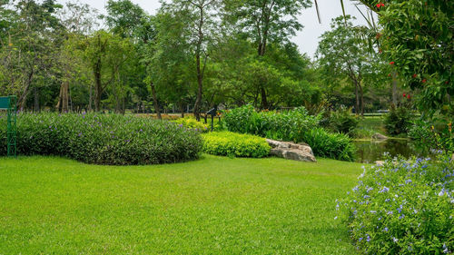 Scenic view of formal garden