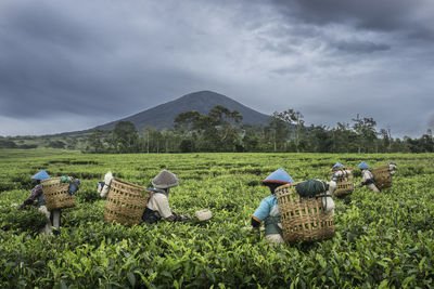 Farmers working at farm against mountains and cloudy sky