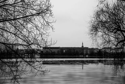 Bare tree by lake against sky