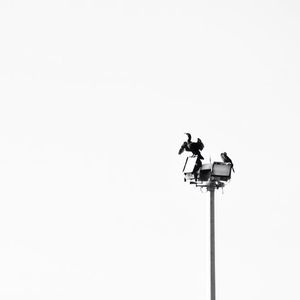 Low angle view of street light against sky