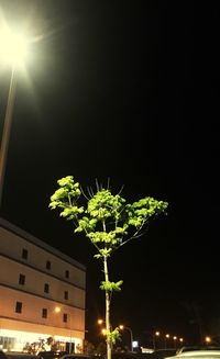 Low angle view of illuminated street light at night