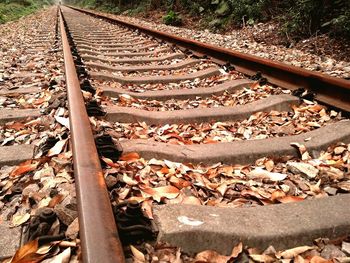 Railroad track on ground