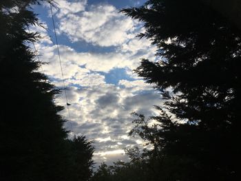 Low angle view of silhouette trees against sky