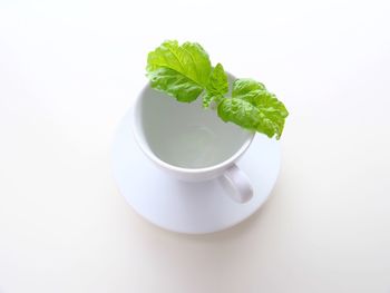 High angle view of drink against white background