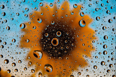 Close-up of water drops on glass