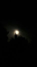 Low angle view of silhouette tree against sky at night