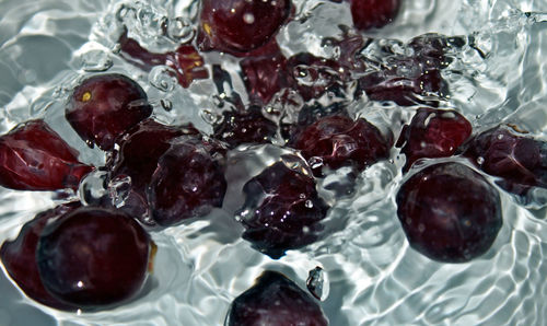 Close-up of grapes in water