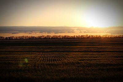 Scenic view of agricultural field against sky during sunset