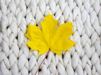 Directly above shot of yellow maple leaf on braided textile