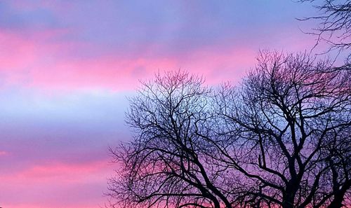 Low angle view of bare tree against cloudy sky