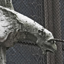 Close-up of chainlink fence