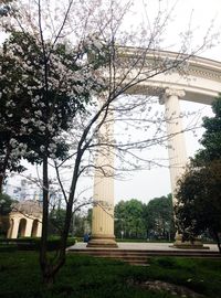 Trees by built structure against sky