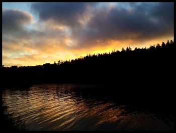 Silhouette of trees at sunset